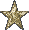 star4